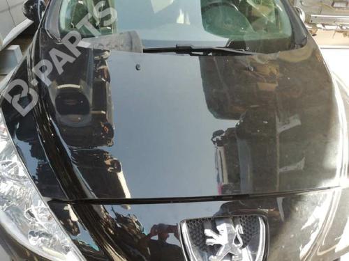 Panser PEUGEOT 308 I (4A_, 4C_) [2007-2016]  10301014