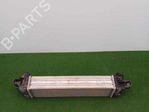 Intercooler BMW X1 (F48) sDrive 20 d | BP22969347M30 