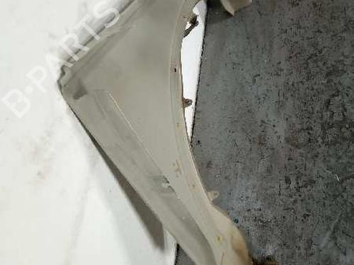 Left front fenders LAND ROVER DISCOVERY III (L319) 2.7 TD 4x4 | BP9633369C41 