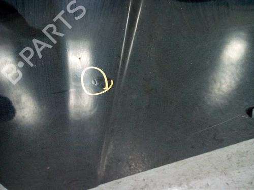 Hood HYUNDAI TUCSON (JM) 2.0 CRDi | BP17001919C1 