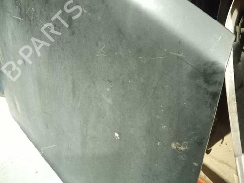 Hood RENAULT VEL SATIS (BJ0_) 2.2 dCi (BJ0E, BJ0F, BJ0G, BJ0H) | BP6060658C1