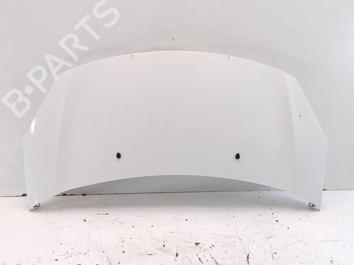 hood-citroen-c3-ii-sc_-2009-37477640 main image