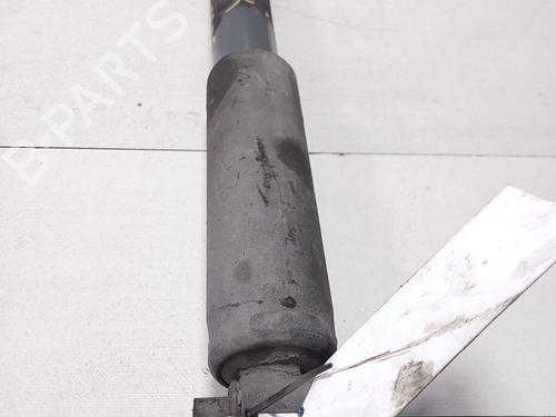 Right rear shock absorber IVECO DAILY IV Van 35C14 GV, 35C14 GV/P, 35S14 GV, 35S14 GV/P | BP21769456M19 