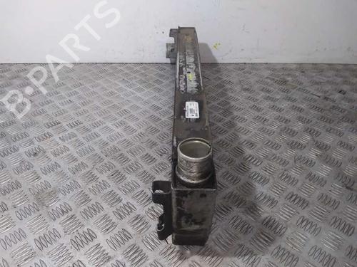 Intercooler RENAULT MEGANE II (BM0/1_, CM0/1_)  | BP15943961M30 