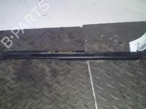 Used Hood lift support CITROËN XSARA (N1) 1.9 D (68 hp) 14248250