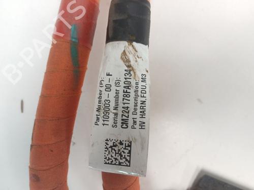 Kabel TESLA MODEL 3 (5YJ3) | BP30935117E12
