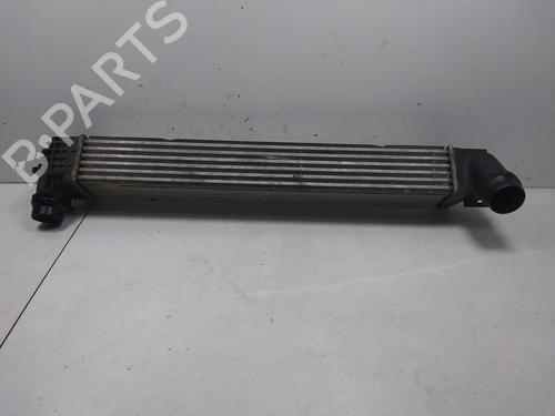 Intercooler RENAULT MEGANE III Hatchback (BZ0/1_, B3_)  | BP20725287M30 