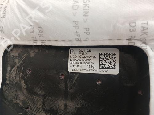 Rear left panel KIA EV6 (CV) 77 | BP30906254C60