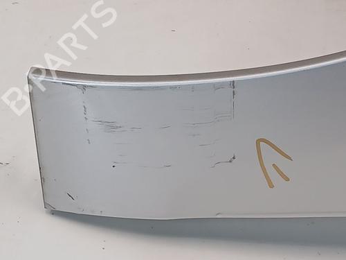 Left front fenders RENAULT SCÉNIC III (JZ0/1_) 1.5 dCi | BP27339843C41 