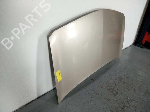 Hood RENAULT MEGANE II (BM0/1_, CM0/1_)  | BP17826232C1 