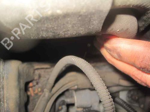 Right front window motor SEAT LEON (1M1) 1.9 TDI | BP2369788E20 