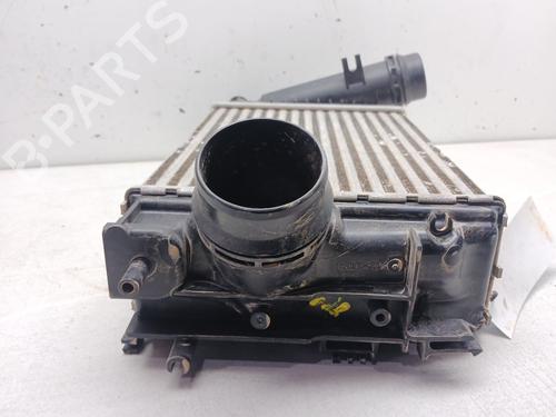 Intercooler RENAULT MEGANE IV Grandtour (K9A/M/N_) 1.3 TCe 140 (K9NB) | BP25001647M30 