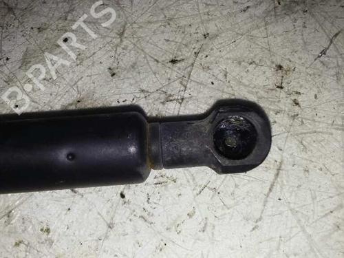 Hood lift support VOLVO S40 I (644)  | BP14248395C139 