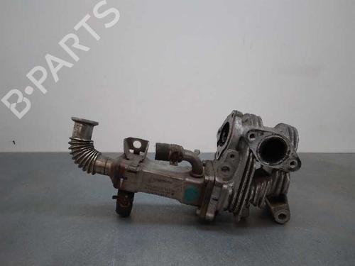 Egr RENAULT SCÉNIC II (JM0/1_) 1.9 dCi (JM0G, JM12, JM1G, JM2C) | BP17433590M69 