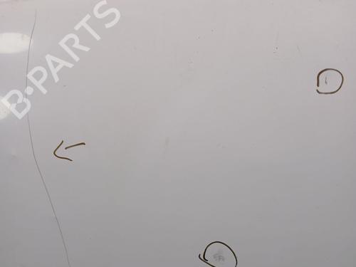 Hood RENAULT KANGOO / GRAND KANGOO II (KW0/1_) 1.5 dCi 70 (KW0V, KW0A) | BP22753362C1 