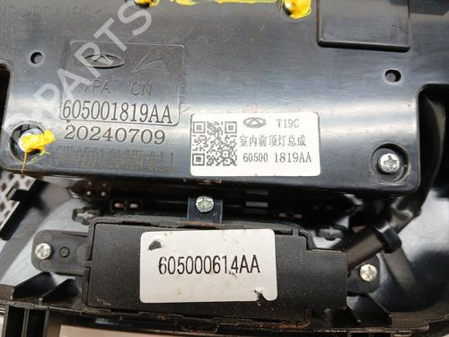 Interior roof light OMODA 5  | BP29284360I8 