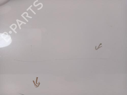 Right front door INFINITI QX70 3.7 AWD | BP30683662C3 