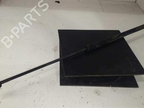 Hood lift support RENAULT MEGANE III Hatchback (BZ0/1_, B3_) 1.9 dCi (BZ0N, BZ0J) 654710003R