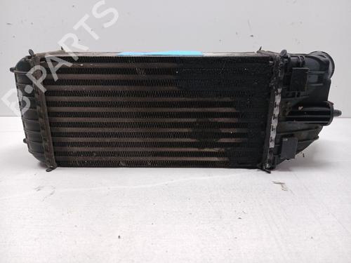 Used Intercooler PEUGEOT 208 I (CA_, CC_) [2012-2020]  21289142