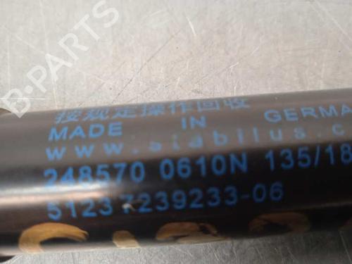 Hood lift support BMW 2 Coupe (F22, F87) M2 | BP14250338C139 