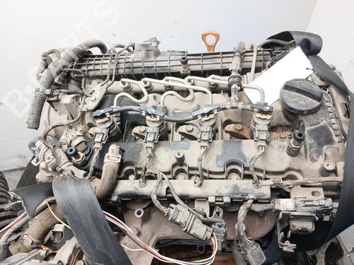 Engine KIA SPORTAGE IV (QL, QLE) 1.7 CRDi | BP29613687M1 