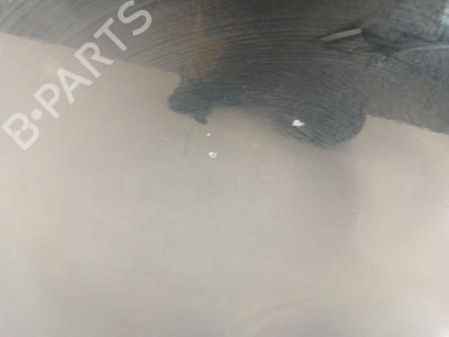 Left front door AUDI A5 (8T3) 2.7 TDI | BP29066974C2 