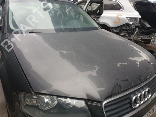 Used Hood AUDI A3 (8P1) 1.6 (102 hp) 29529405