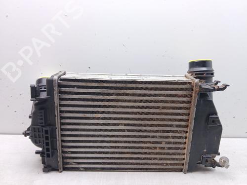 Intercooler RENAULT TALISMAN Grandtour (KP_) 1.6 dCi 130 | BP27831115M30 
