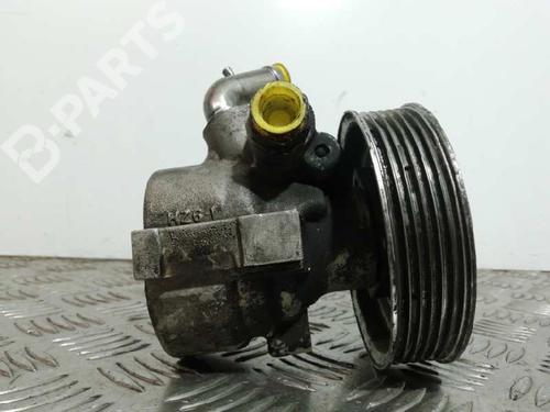 Steering pump FIAT DOBLO Cargo (263_) 1.3 D Multijet | BP10421308M99
