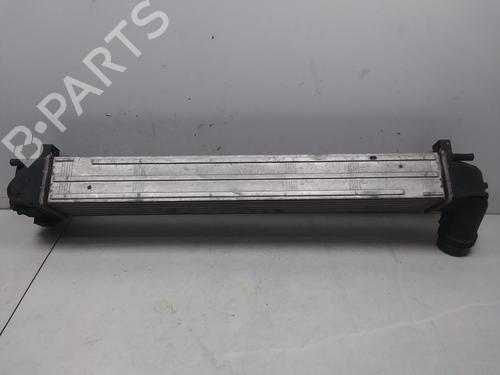 Intercooler RENAULT MEGANE III Hatchback (BZ0/1_, B3_)  | BP20725287M30 
