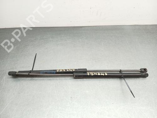 tailgate-lift-support-ford-fiesta-vi-cb1-ccn-2008-38621550 main image