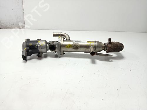 Egr JAGUAR S-TYPE II (X200) 2.7 D | BP28188209M69 