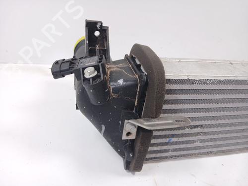 Intercooler OMODA 5 1.6 | BP31949638M30 