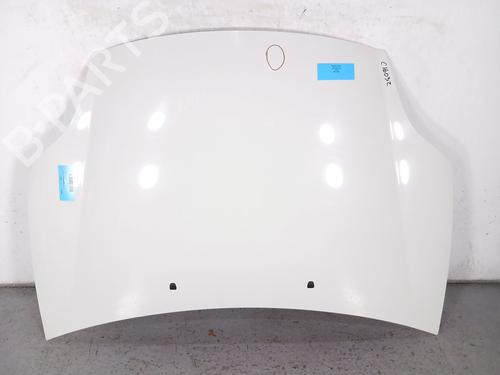 Hood FIAT BRAVO II (198_)  | BP16337903C1 