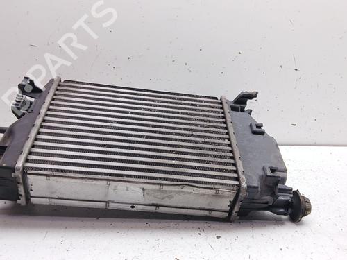 Intercooler RENAULT KADJAR (HA_, HL_) 1.2 TCe 130 (HLMR) | BP32502637M30 