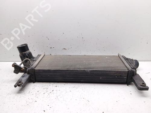 Intercooler NISSAN PATHFINDER III (R51) 2.5 dCi 4WD | BP38096000M30 - Image 4