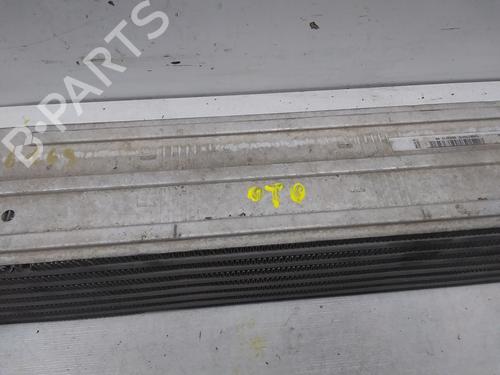 Intercooler RENAULT MEGANE III Hatchback (BZ0/1_, B3_)  | BP20725287M30 