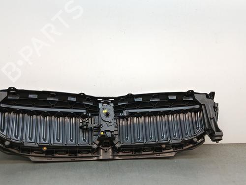 Grille BMW 5 (G30, F90) 520 d | BP29325605C40 