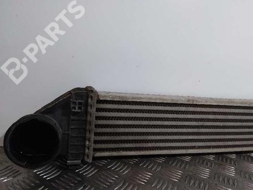 Intercooler MERCEDES-BENZ A-CLASS (W169)  | BP9749441M30 