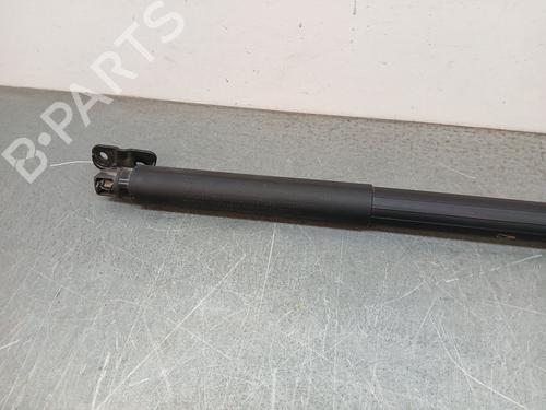 Tailgate lift support BMW 3 Touring (F31)  | BP26706129C138 