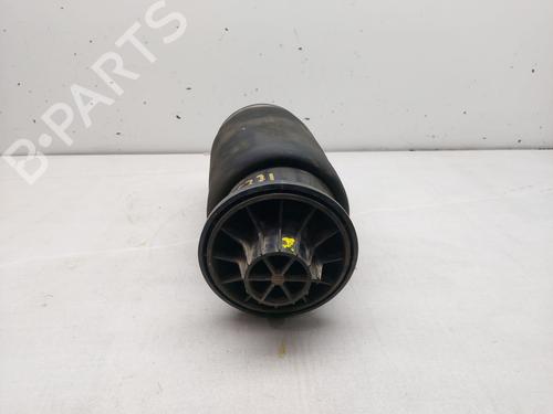 Left rear shock absorber MERCEDES-BENZ M-CLASS (W164) ML 420 CDI 4-matic (164.128) | BP25488082M18 