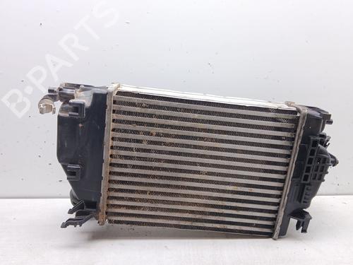 Intercooler RENAULT TALISMAN Grandtour (KP_) 1.6 dCi 130 | BP27831115M30 