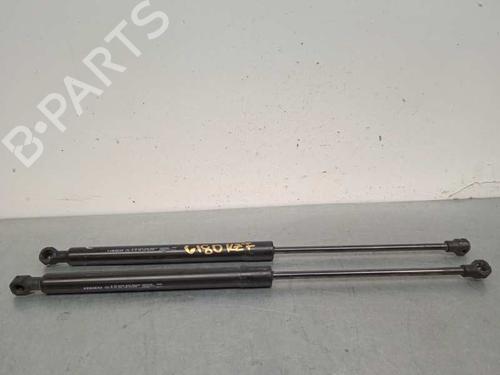 Used Tailgate lift support DACIA SANDERO II 1.5 dCi 75 / Blue dCi 75 (B8JW, B8M4, B8AH, B8M7, B8M6) (75 hp) 14250608