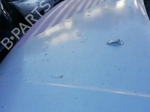 Hood FORD TRANSIT CONNECT (P65_, P70_, P80_)  | BP9643875C1