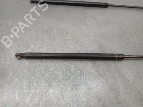 Tailgate lift support LAND ROVER RANGE ROVER SPORT I (L320) 3.0 D 4x4 | BP25437216C138 