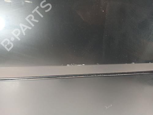 Left front door SMART FORTWO Coupe (451) 1.0 (451.331, 451.380) | BP28316091C2 