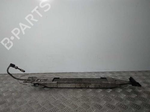 Oil radiator MERCEDES-BENZ R-CLASS (W251, V251) R 300 CDI 4-matic (251.020) | BP20311982M33 
