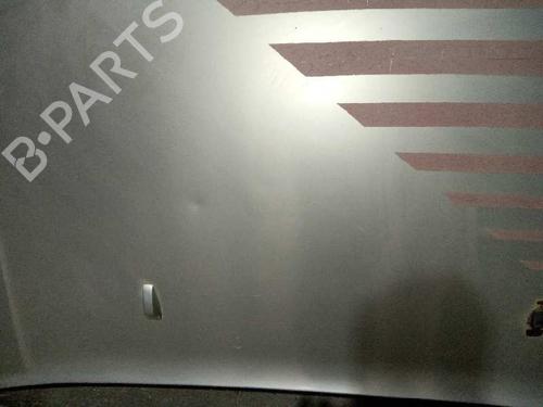 Hood FORD TRANSIT CONNECT (P65_, P70_, P80_)  | BP9643875C1