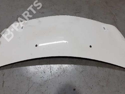 Hood RENAULT CLIO III (BR0/1, CR0/1)  | BP7969186C1 
