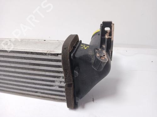 Intercooler OMODA 5 1.6 | BP31949638M30 